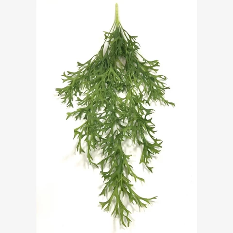 Стегхорн (оленьи рожки) 60 см