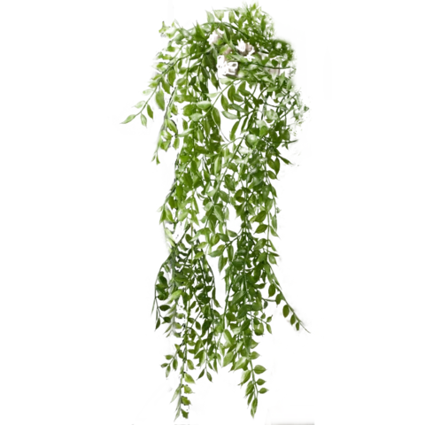 Рускус 110 см