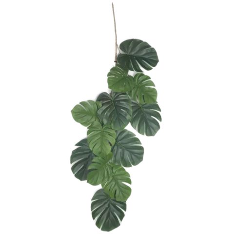 Монстера мини 100 см