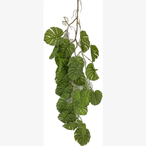 Монстера мини 97 см