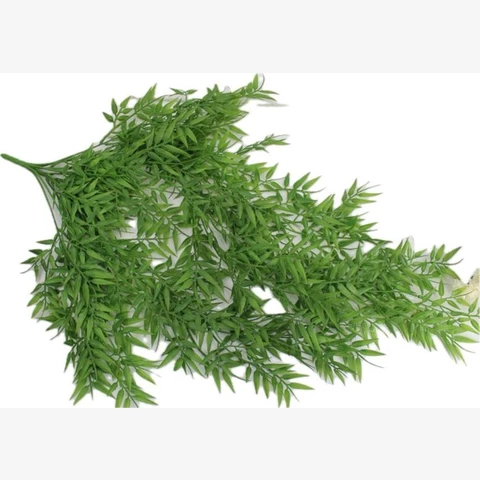 Бамбук ампельный темный 75 см