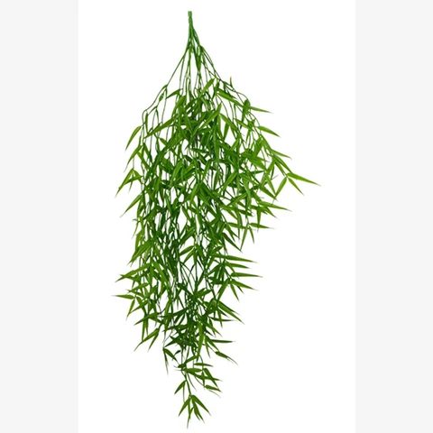 Бамбук ампельный светлый 90 см