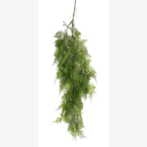 Аспарагус зеленый 90 см