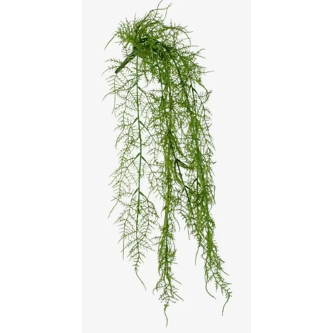 Триферн Зеленый 105 см