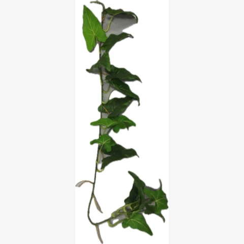 Алоказия гирлянда на древесной ните 130 см