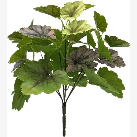 Бегония 30 см