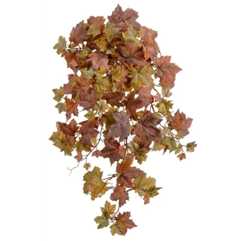 Кленовый куст 70 см