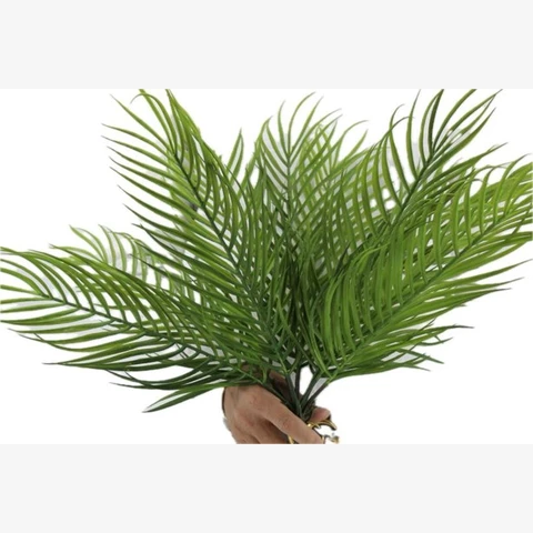 Пальма 50 см