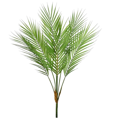 Пальма 80 см