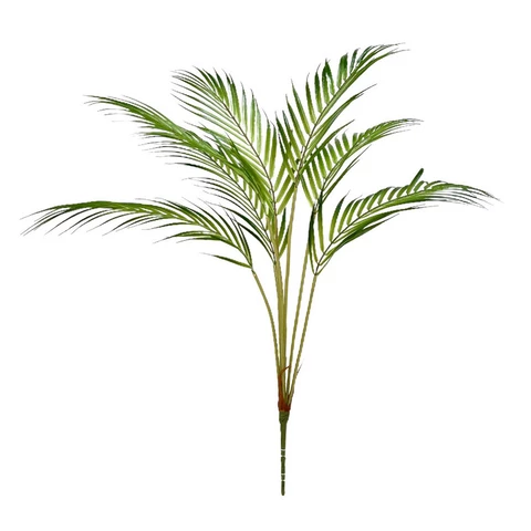 Пальма 55 см