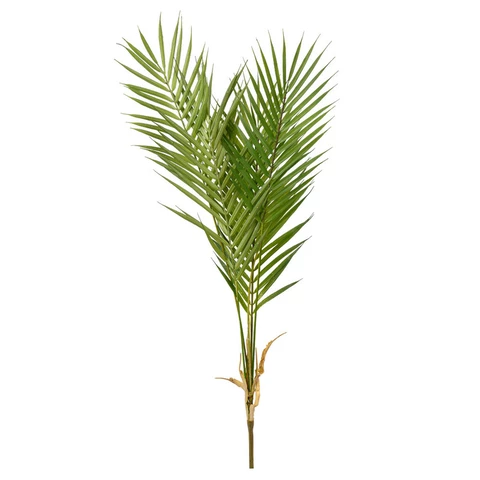 Пальма 70 см