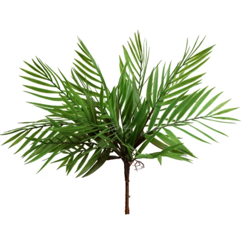 Бамбуковая Пальма зелёная\ S 40 см
