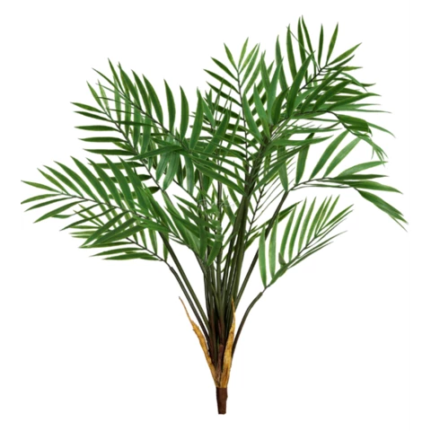 Бамбуковая Пальма\M 63 см