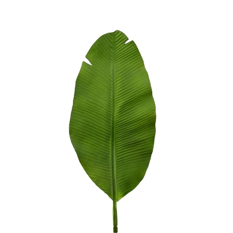 Банан лист, В 65 см