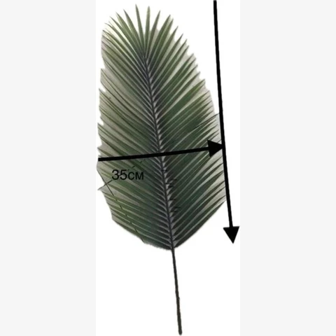 Пальма лист большой, 65 см