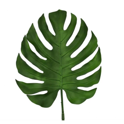 Монстера лист, В 120 см, Д 50 см