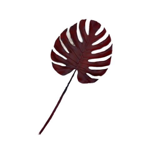Монстера Бордо Д 48 см