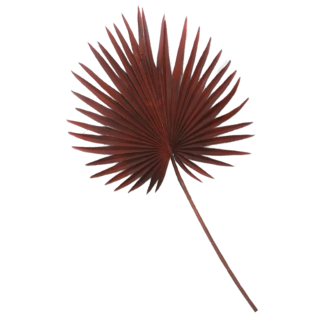 Вашингтония бордо,, В 90, Ш 46*47см