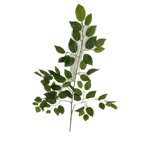 Ветка фикуса светло-зелёная, В 50 см