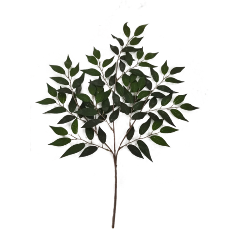 Ветка фикуса тёмно-зелёная, В 50 см