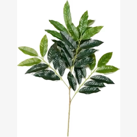 Магнолия ветка, В 50 см