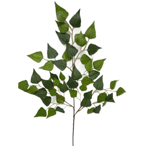 Берёза ветка, В 50 см