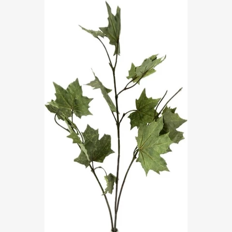 Клён ветка, 94 см