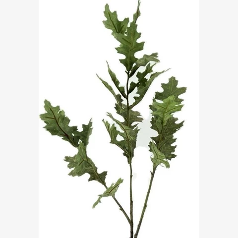 Дуб ветка, 95 см