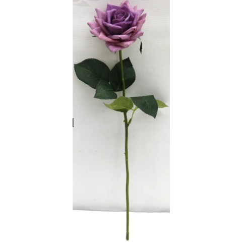 Роза сиреневая, 45 см