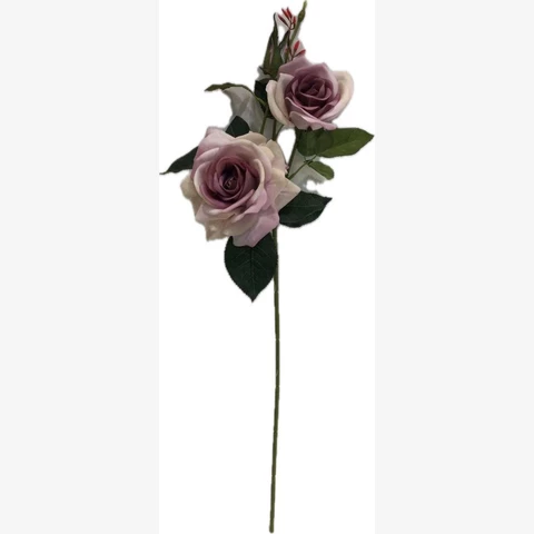 Роза кустовая пыльно-розовая, 65 см