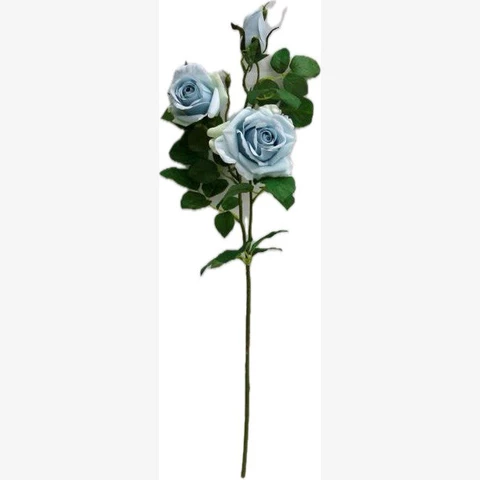 Роза кустовая голубая, 65 см