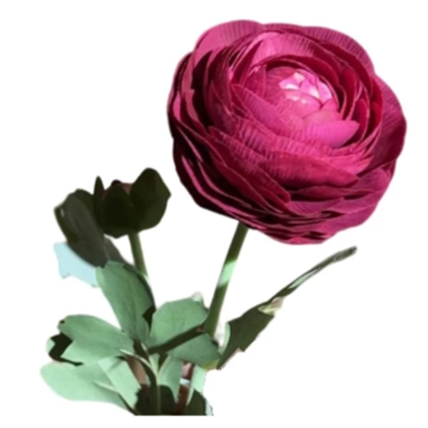 Камелия тёмно-розовая, 50 см