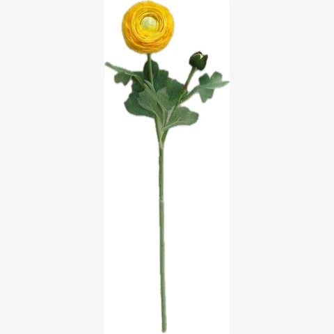 Камелия желтая, 50 см