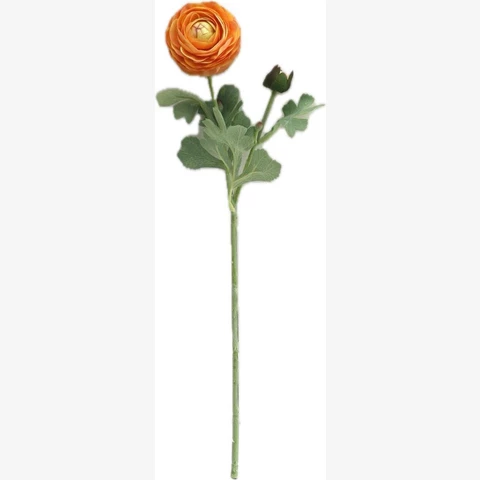 Камелия оранжевая, 50 см