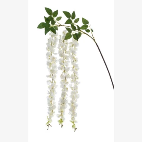 Глициния белая, 90 см