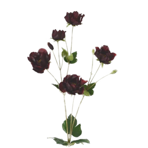 Анемона бордо, 60 см