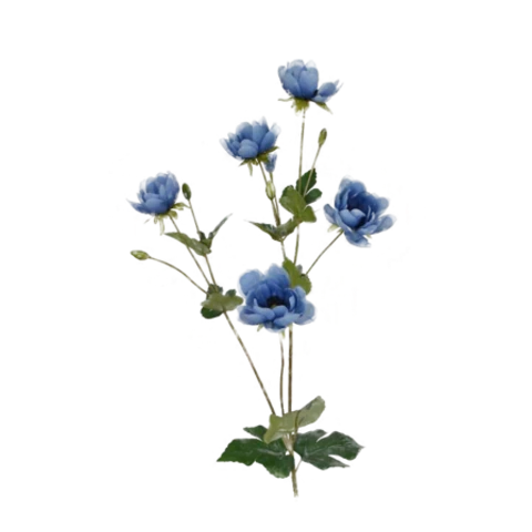 Анемона голубая, 60 см