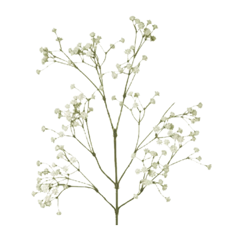 Гипсофила 40 см