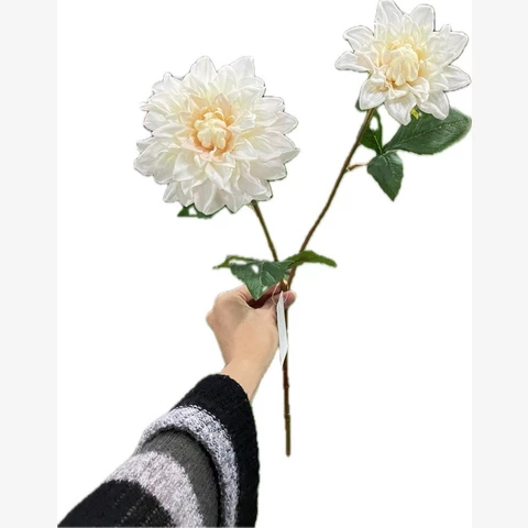 Георгин белый, 57 см