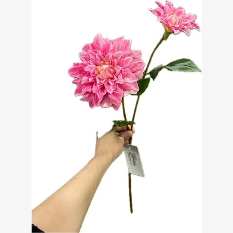 Георгин розовый, 65 см