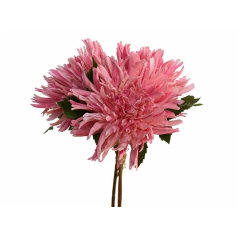 Хризантема розовая, В 30 см