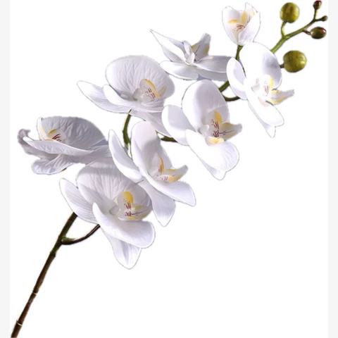 Орхидея белая, 50 см
