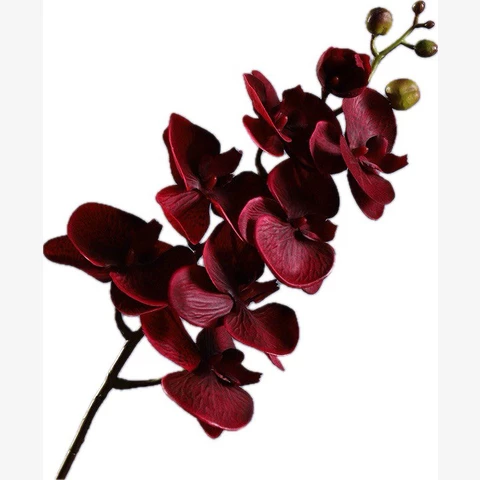 Орхидея бордо, 50 см
