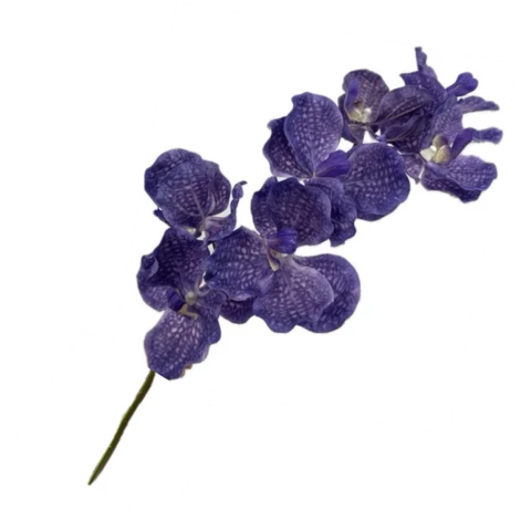 Орхидея ажурная сиреневая, 45 см