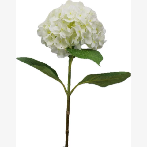 Гортензия белая, 64 см