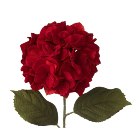 Гортензия красная, 64 см