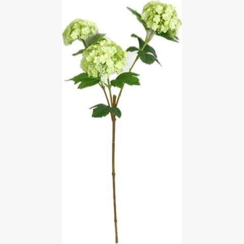 Гортензия кустовая, 77 см