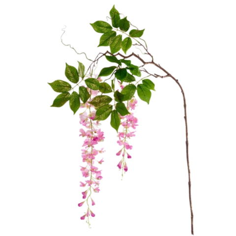 Глициния розовая, 135 см