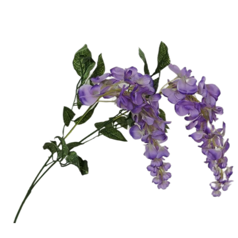 Глициния сиреневая, 135 см
