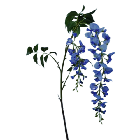 Глициния синяя, 135 см